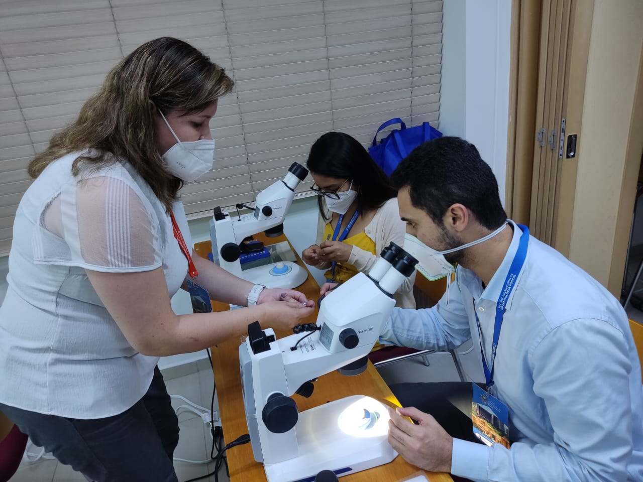 Imagen de Oftalmología 12